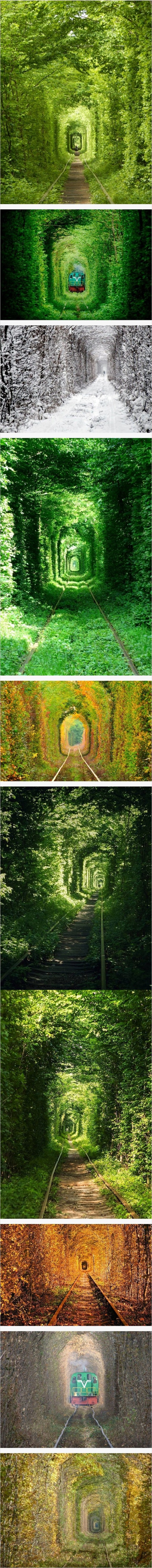 우크라이나 자연 터널