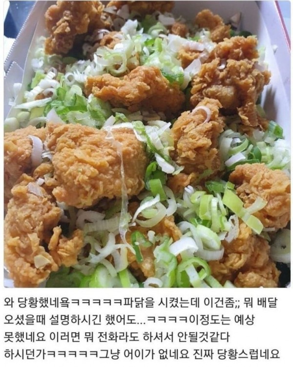 영남대학교 파닭 레전드