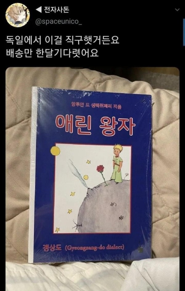 어느 한국인이 독일에서 직구한 책 내용이...