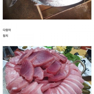 image.png 디씨 레전드 생선요리
