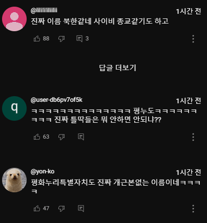 경기북부 '평화누리특별자치도' 유튜브 댓글 반응