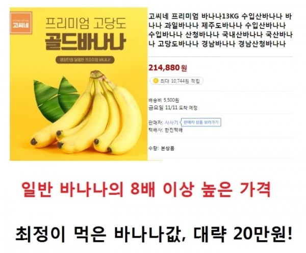 바나나 20만원어치 먹은 바둑 기사