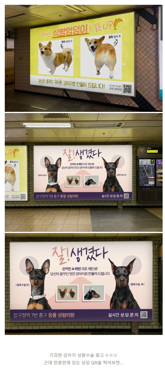 소름돋는 강아지 성형 광고