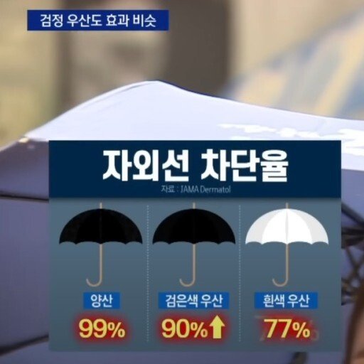 양산 효과 좋긴 좋은듯