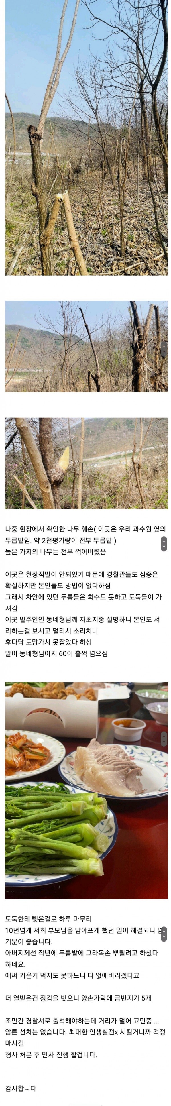 두릅 도둑을 잡았습니다