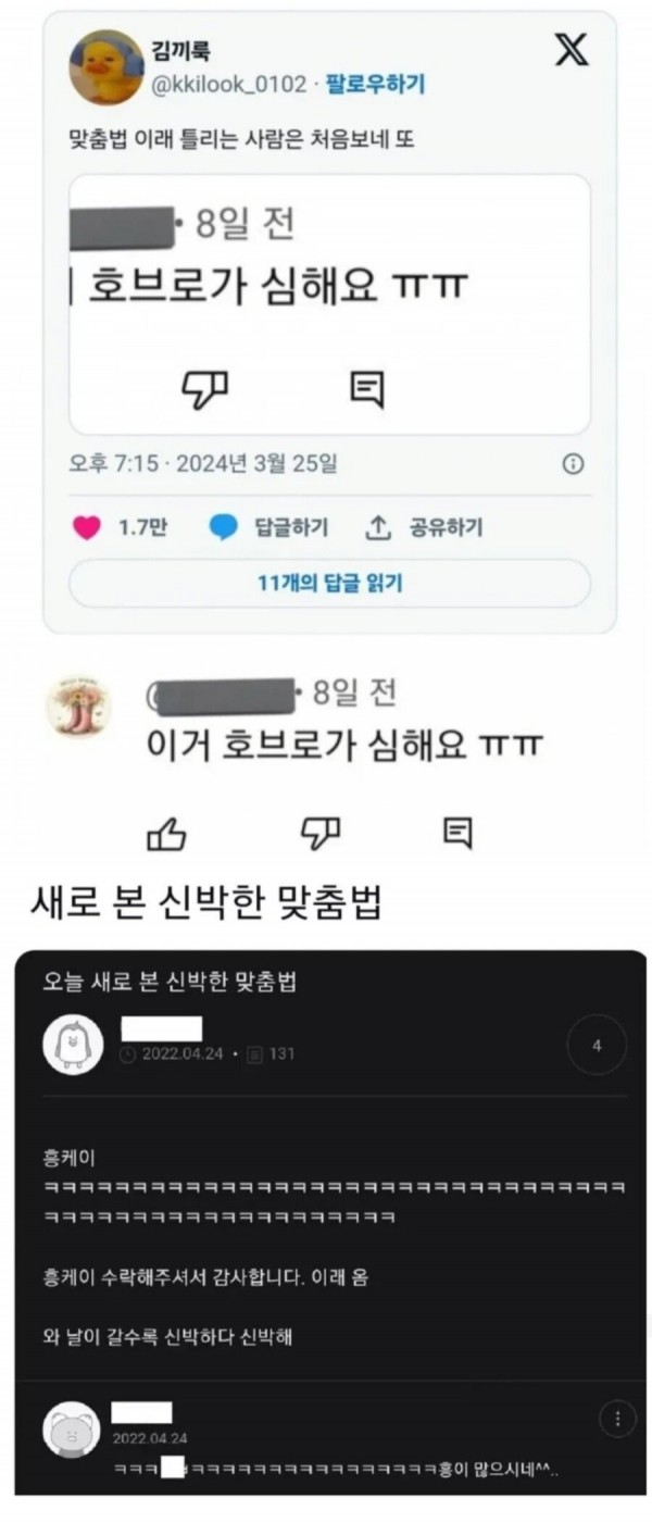 맞춤법 신흥강자 등장