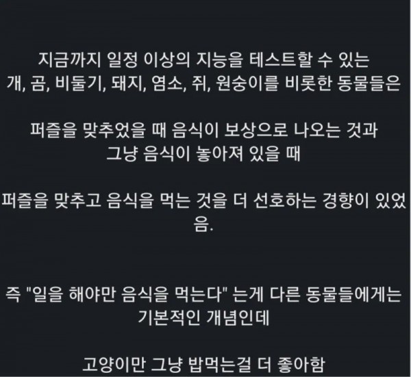 고양이에 대한 흥미로운 연구 결과