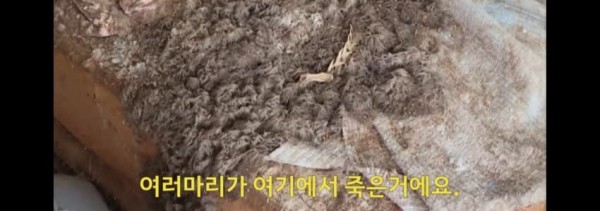 극혐) 청소비 견적 1700만원 나온 집 