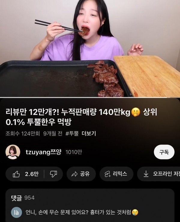 몇년 전 쯔양 사태를 예언한 웹툰