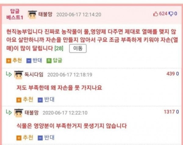 뼈 때리는 현직 농부 