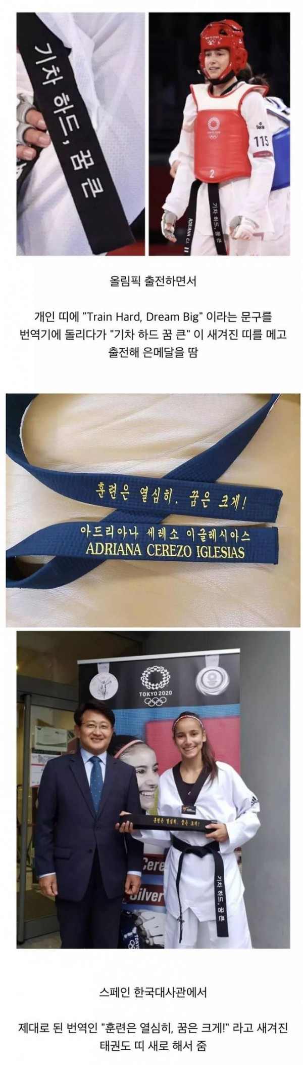 번역기 잘못 돌려서 올림픽 나온 선수 