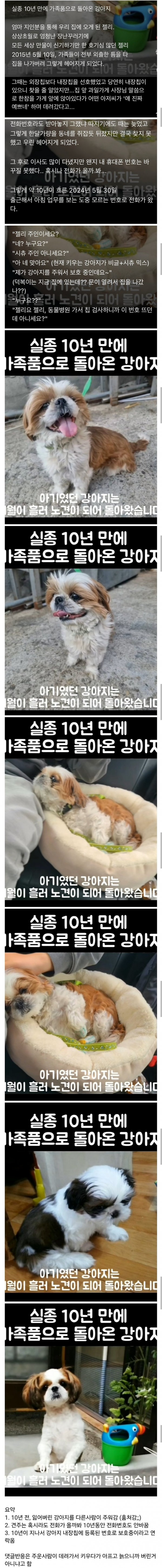 실종 10년만에 가족품으로 돌아온 강아지