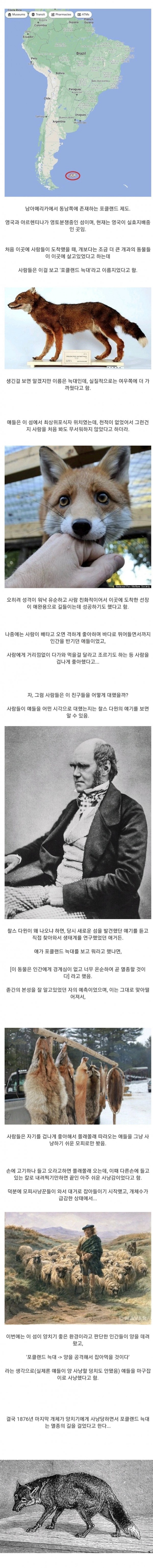 인간을 너무 좋아해서 멸종한 동물 