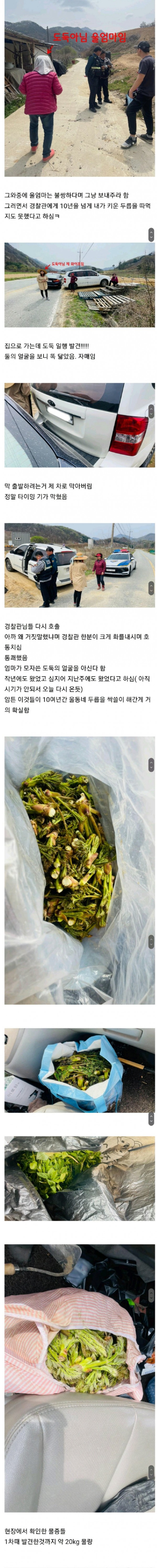 두릅 도둑을 잡았습니다