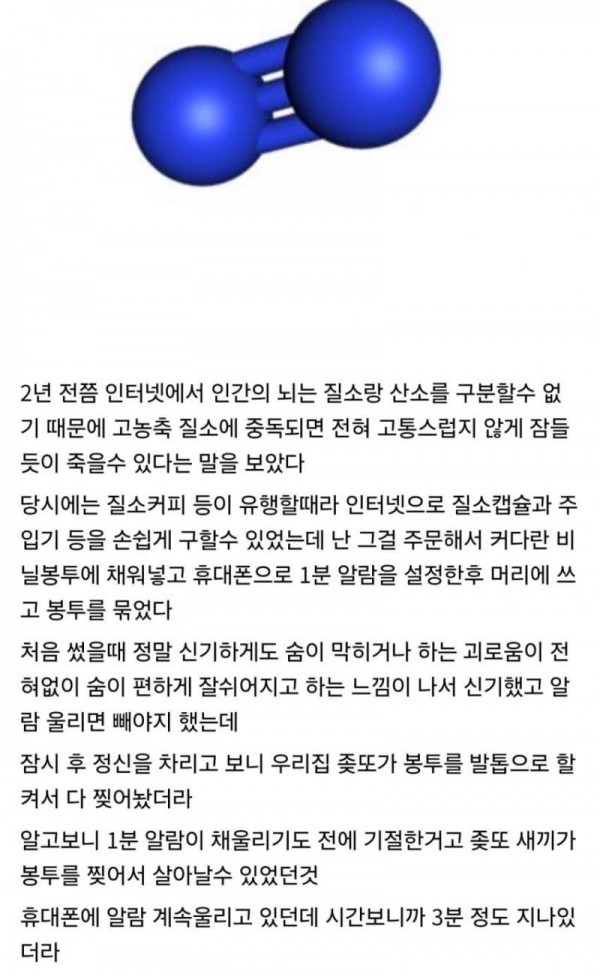 위험한 실험을 한 디시인의 썰 