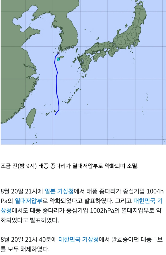 민폐만 끼치고 사라진 거지같은 종다리