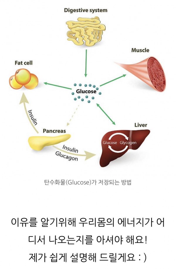 공복운동 할 때 조심해야 되는 이유