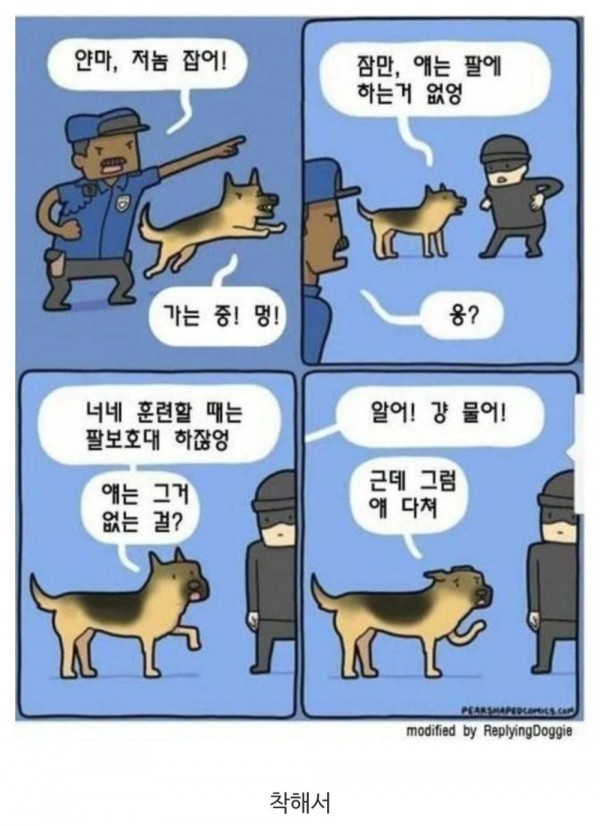 많은 경찰견이 탈락하는 의외의 이유 