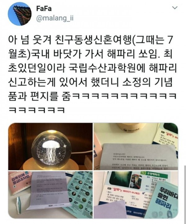 해파리 쏘인 사람이 국립수산과학원한테 받은 것