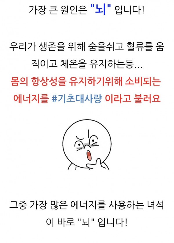 공복운동 할 때 조심해야 되는 이유