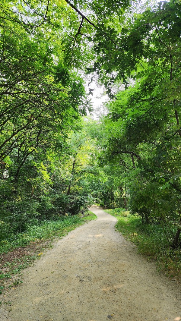 여름에 산책하기 좋은 서울의 공원들