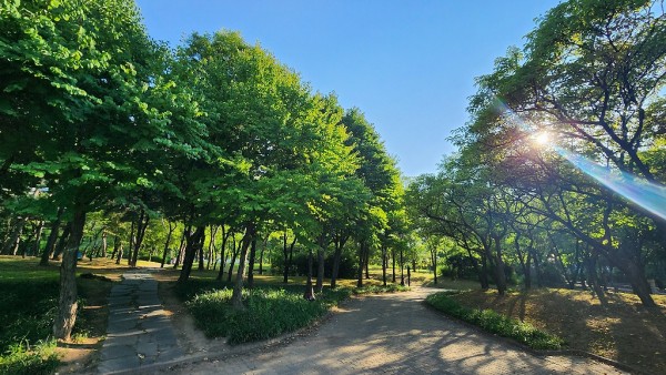 여름에 산책하기 좋은 서울의 공원들