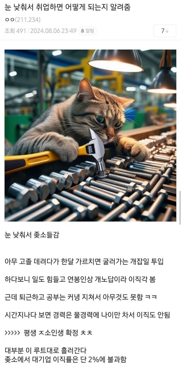 눈 낮춰서 취업하면 벌어지는 일