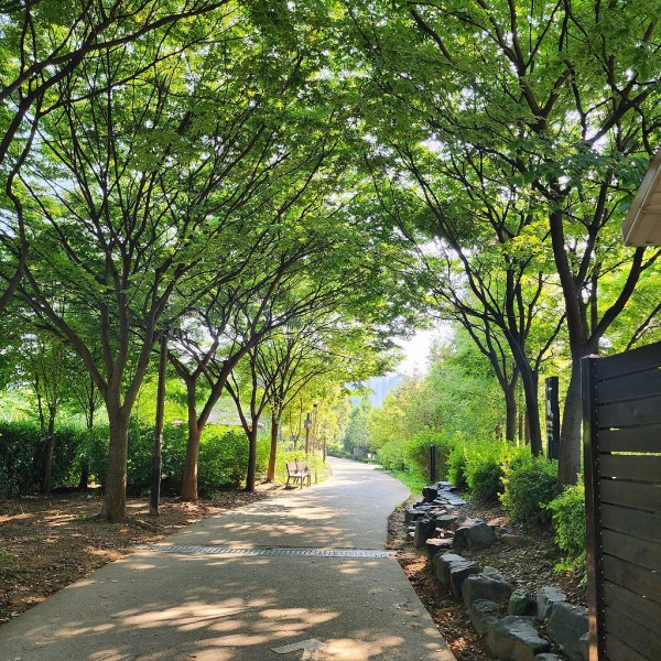 여름에 산책하기 좋은 서울의 공원들