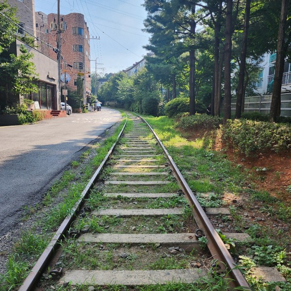 여름에 산책하기 좋은 서울의 공원들