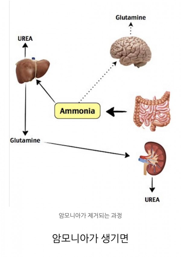 공복운동 할 때 조심해야 되는 이유