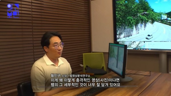 강원도 도심에 나타난 역대급 크기의 뱀 