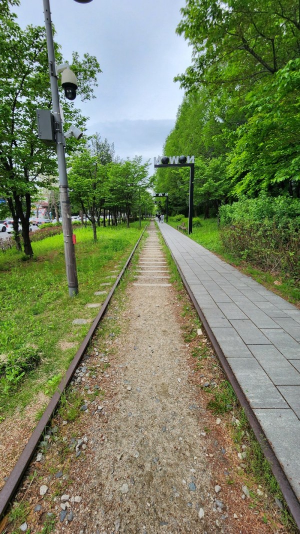 여름에 산책하기 좋은 서울의 공원들