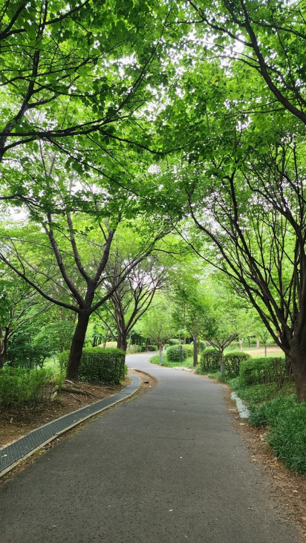 여름에 산책하기 좋은 서울의 공원들