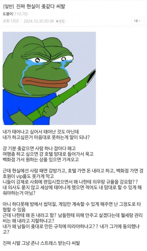 1730375543.jpg 현실이 너무 ㅈ같아 좌절하는 디시인