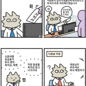 인사팀장이 겪은 입사 6개월만에 퇴사한 직원