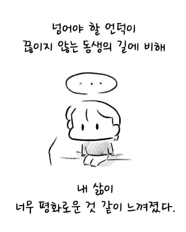 _mongi___1202370171.jpg 구마유시 누나 인스타