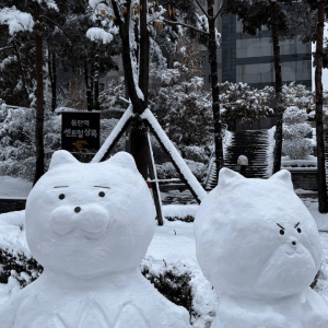 "진짜" 동탄 눈사람 근황