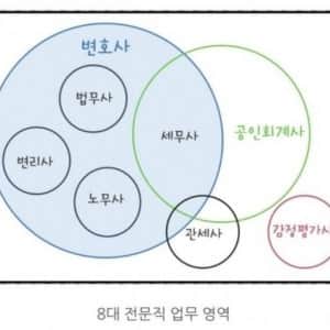 문과 8대 전문직 비교