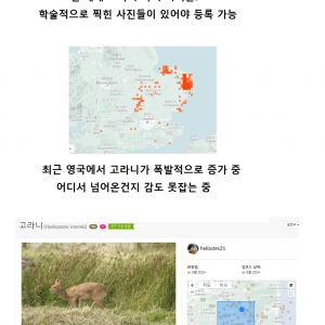 한국과 중국에만 살던 고라니 근황 