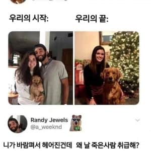여친도 잃고 개도 뺏김 