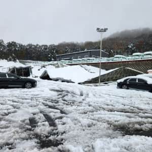 신차 집하장 근황