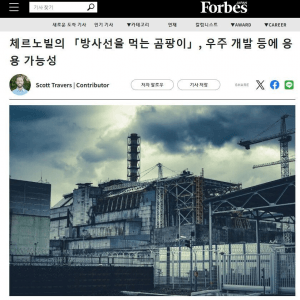 체르노빌 방사능 근황 ㄷ