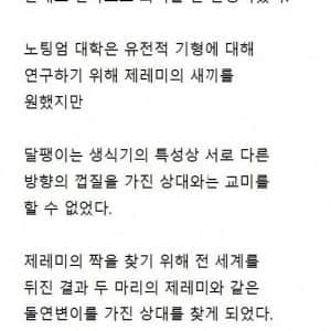 교미 한 번 하려고 전세계를 다 뒤진 결과... 