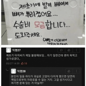 에타 캣맘 레전드 사건