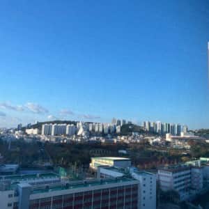 수도권 눈으로 개박살난 와중에 부산 날씨 근황