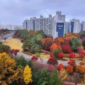 우리나라에서 단 2주만에 일어난 일 