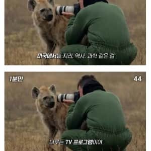 외국인들 눈에는 이렇게 보인다고 하더라...