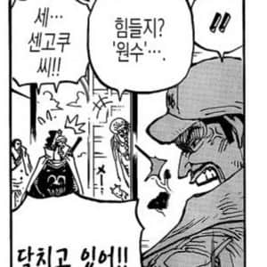 싱글벙글 원피스 갤러리 난독 모음집ㅋㅋㅋ 