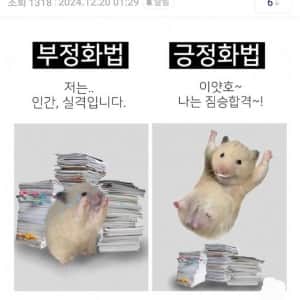 적응 못하는 직장 신규들이 명심해야 할 것 