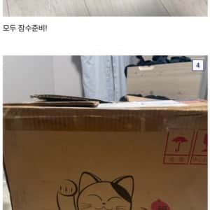 5살 아들 크리스마스 선물 해준 디시인